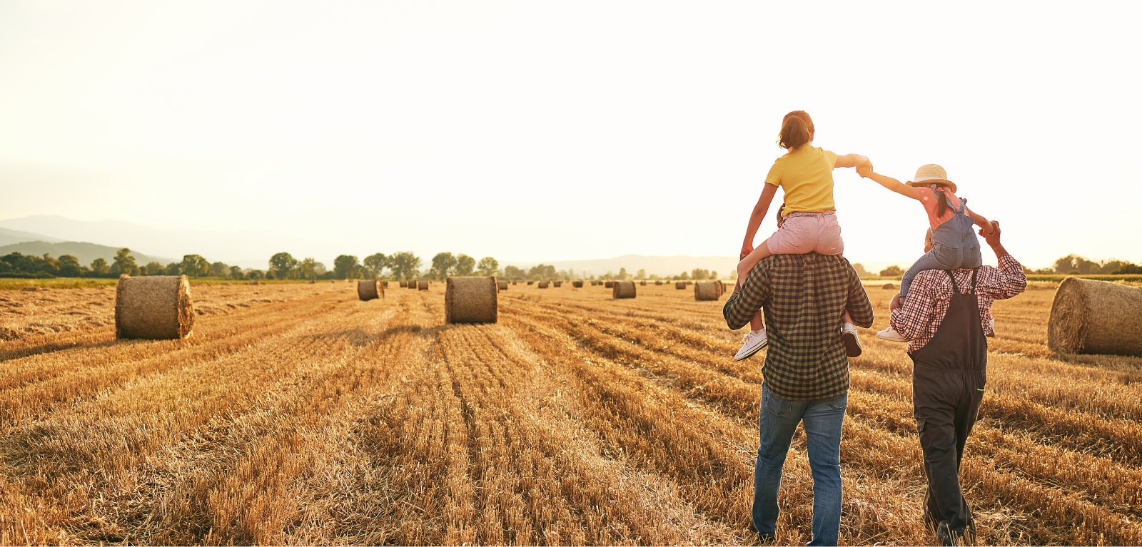 Welcome to Blandford-Blenheim